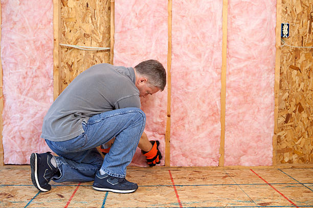 Best Insulation Contractor Near Me  in Rhinelander, WI